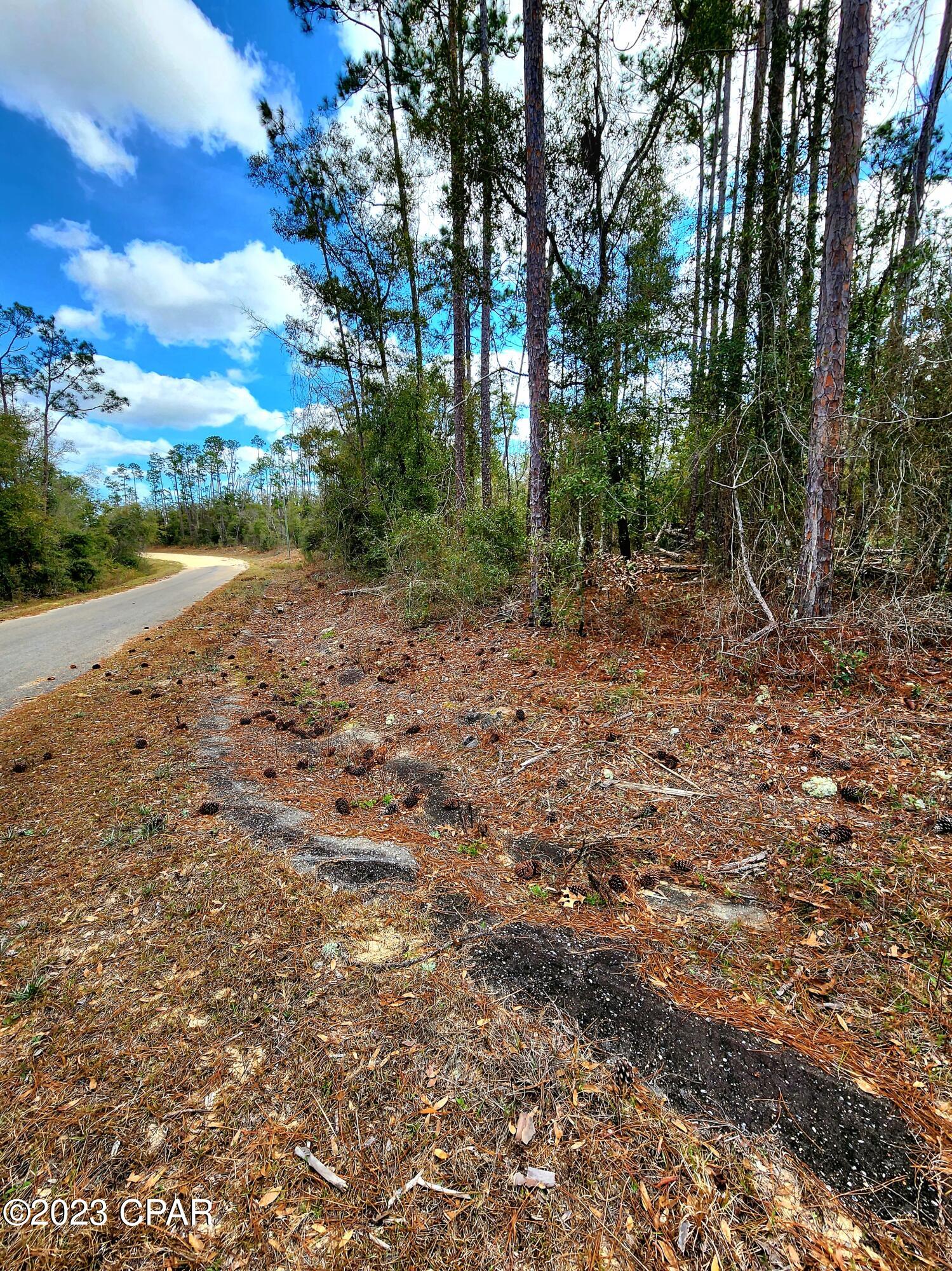 Compass Lake Hills Unit 5 - Land