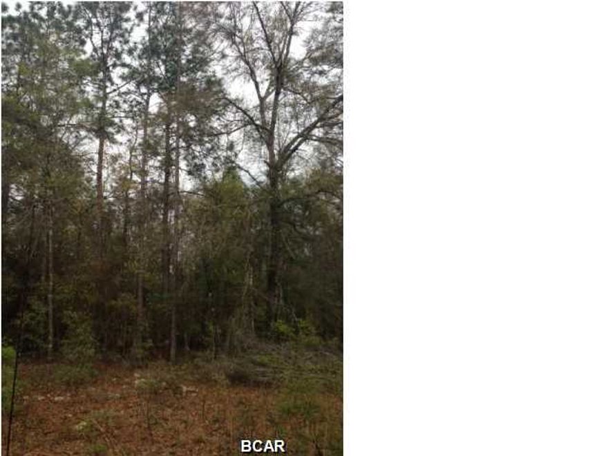 Build your Dream Home on one of South Washington Counties Lakes. Property is near International Airport and Beaches of Gulf Mexico. Property is wooded