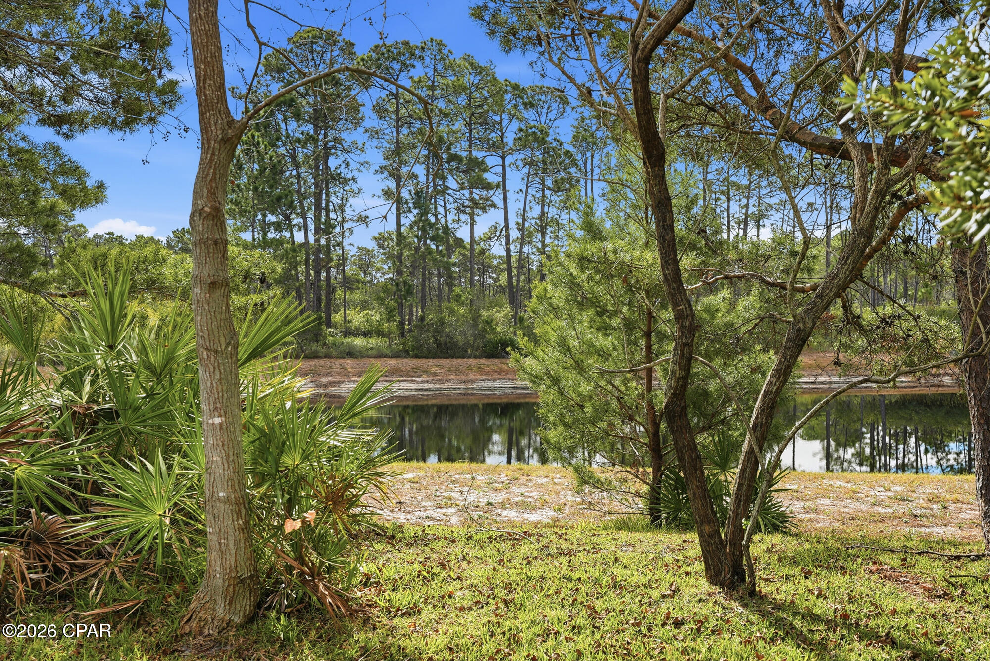 Palmetto Trace Phase 2 - Residential