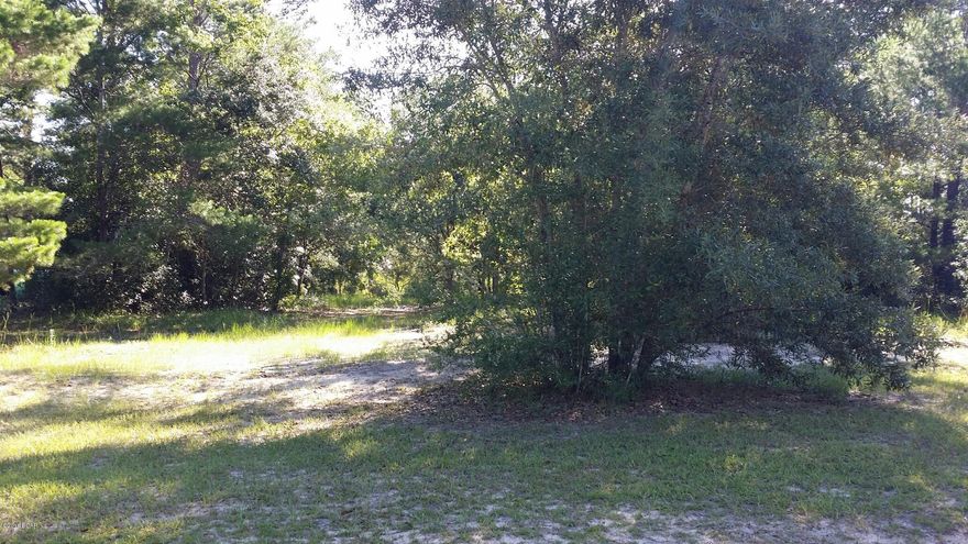 BEAUTIFUL WATERFRONT LOT ON SMALL CREEK APPROX 500 FEET OFF OF PAVED HIGHWAY!!! CLOSE TO BOZEMAN SCHOOL!