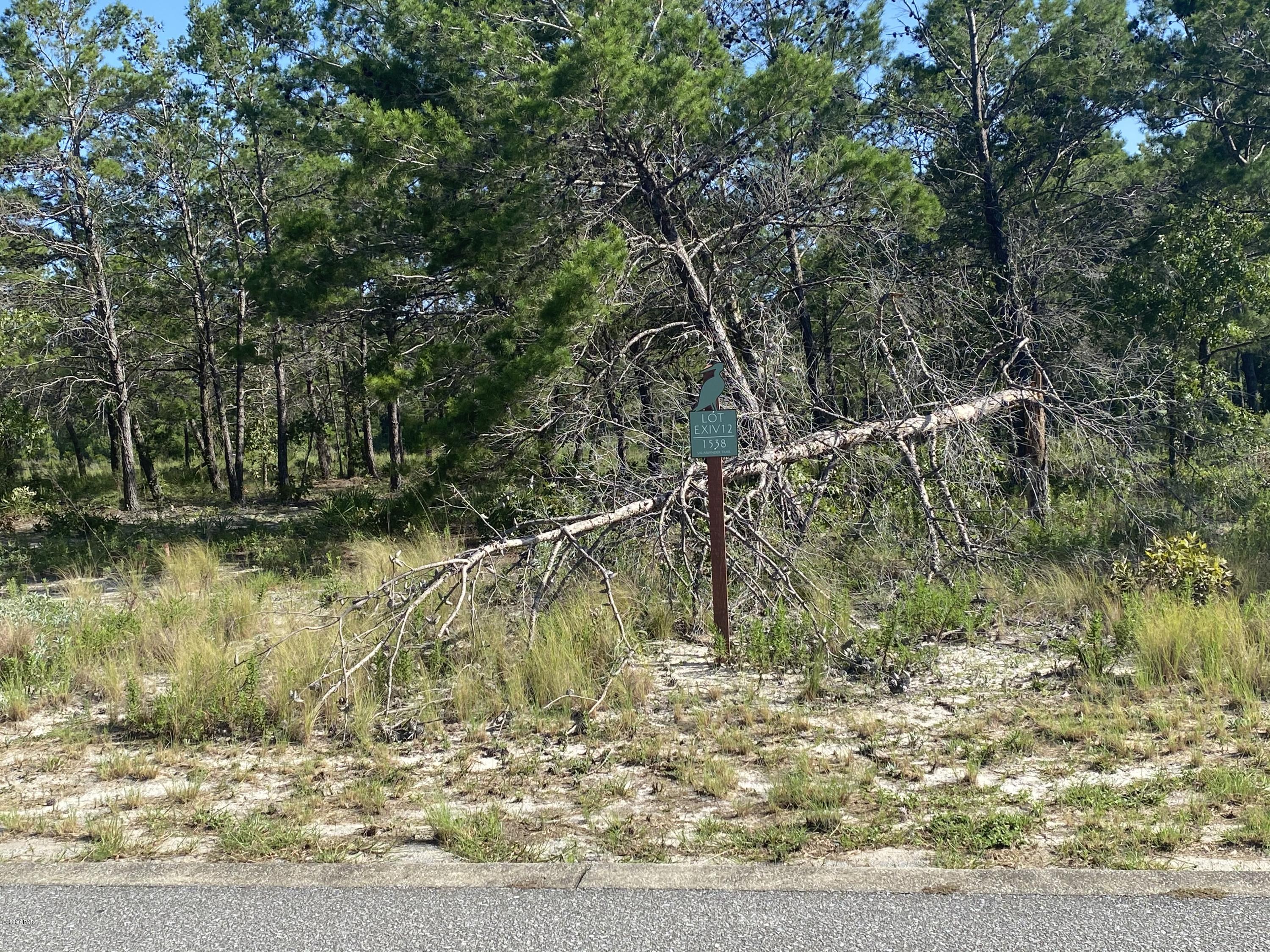 Wild Heron Phase XI - Land