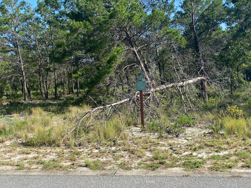 Nice home stead.. Golf Course and Pond behind it and nothing can be built across the street.16 Acre lot on a peaceful cul-de-sac. Wild Heron offers numerous amenities such as Shark's Tooth Golf Club, Har-Tru Hydro court tennis courts, community pool, boardwalks, fitness center, lakeside grill/fire pit, playground trails, fishing and much more, The Boathouse located at Prospect Point includes a dock with access to Lake Powell along with kayaks and canoes for residents to use. Wild Heron is truly a wonderful place to call home!