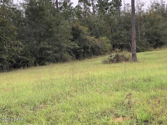 Blue Springs Plantation - Land