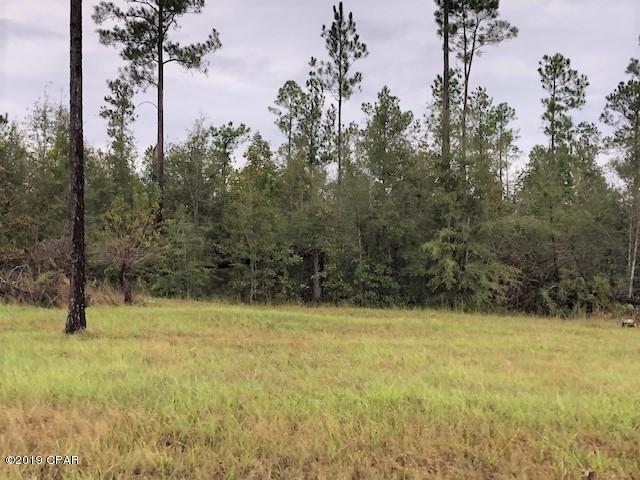 Blue Springs Plantation - Land