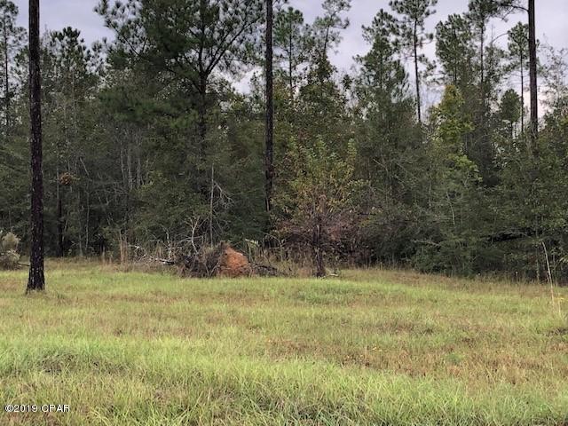 Blue Springs Plantation - Land