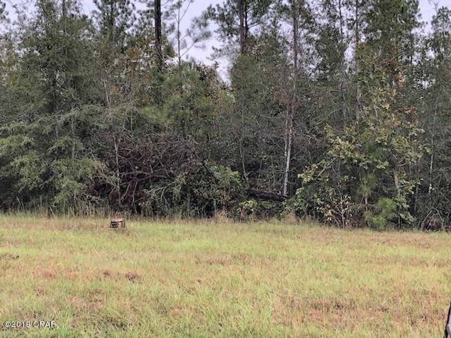 This is a fantastic residential building lot in a  beautiful subdivision northeast of Marianna.

It has underground utilities.

This lot is partially cleared with a mixture of native trees still on the property.   There are several new homes going up in this subdivision.  It is in a prime location for your ''Forever Home''