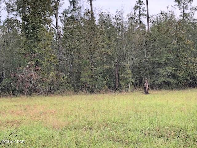 Blue Springs Plantation - Land