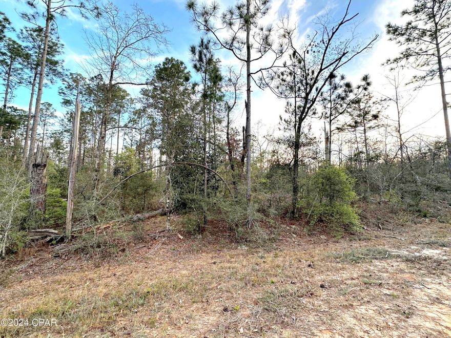 Welcome to your slice of paradise at Compass Lake in the Hills! This 1.55+/- acre wooded lot offers the perfect setting to build your dream home. Nestled amidst towering trees, you'll find tranquility and privacy, yet you're just minutes away from Compass Lake and Hwy 231.