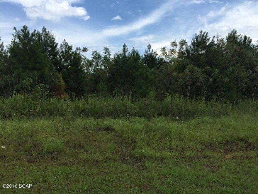 Very nice 10.1 acre tract that is just right for the home of your dreams. Right off paved road with easy access to Sneads, Tallahassee, Dothan.