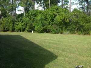 Palmetto Trace Phase 2 - Residential