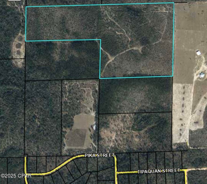 For sale: 60 acres of dedicated timberland located in Marianna, Jackson County. This non-homesteaded property offers a prime opportunity for forest management and long-term investment. 
Property has no legal access.