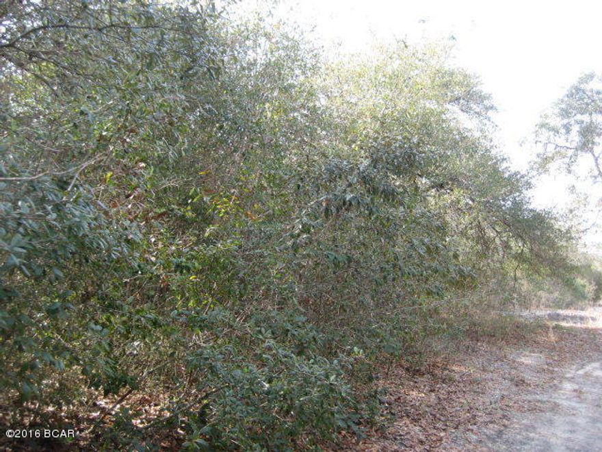 $29,500. PRICE REDUCED $2,500...MOTIVATED SELLER SAYS BRING ANY REASONABLE OFFER! This 17.47 acs. is secluded, yet only 10 minutes or so from small town and about 40 minutes to Panama City and the Gulf of Mexico. The land is mostly wooded, with a road through part of it. The beautiful Fourmile Creek runs across the land, and it has an easement for access. There is currently no well, septic, or electricity to the land, but it is a lovely, private spot for building a home. Taxes for 2013 were $442.83. Property is located in the country and across the street from a small K-8th grade school. A general store is just 3/4-mile away and the post office is just 1.5 miles. Peaceful and serene, make this parcel yours for the reasonable price of just $29,500.