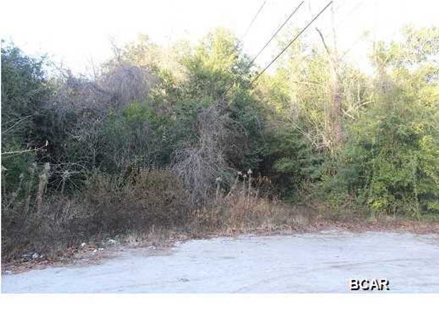 Vacant wooded lot at the end of Bay Ave. Property is a couple lots in from the end of the road. Go to Bay County Property Appraiser site and click on show parcel map and then click on aerial view to see location of property.