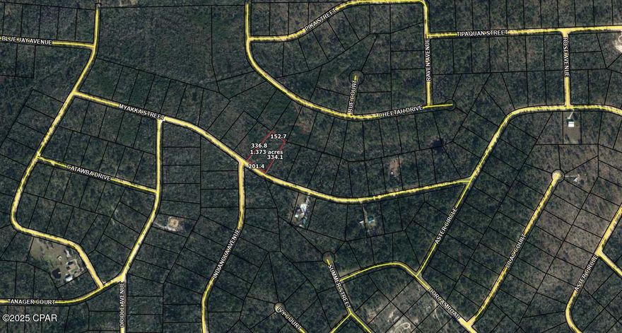 1.3+acre buildable lot in Compass Lake in the Hills! Power available along the road, with ample space upfront for a home and a serene wetlands area in the back for added privacy. Enjoy nearby community amenities, including Compass Lake, parks, and outdoor activities. Voluntary POA membership offers access to a clubhouse, pool, and more. Priced at $7,500—great value in a peaceful setting!