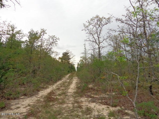 Goshun Creek Acres - Land