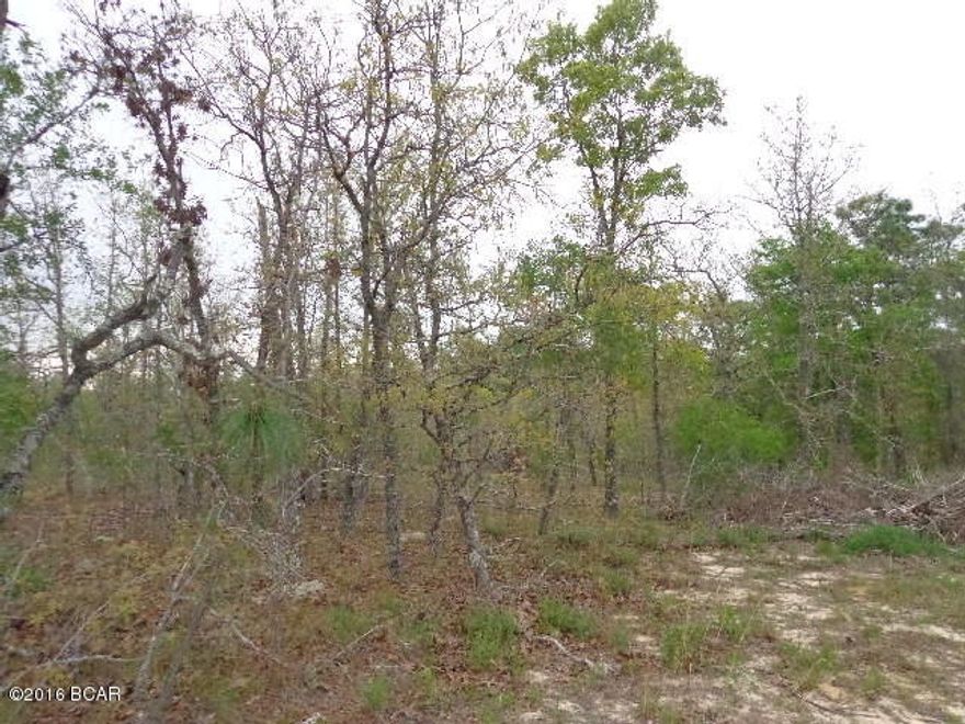 10 ACRES MOL Wooded property in a private setting that adjoins 394 acres owned by the NWF WATER MGMT in the back of property and across the lane in front. Great hunt camp or to be one with nature full time or the weekend getaway. Creek crosses property. Less than 1 hour drive to Panama City to Beaches.