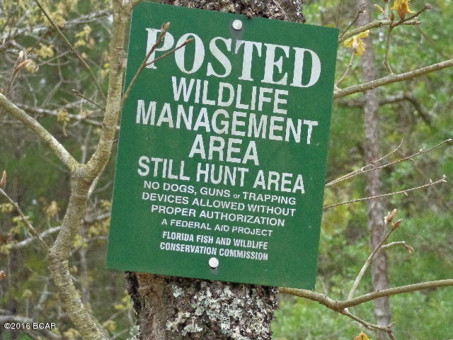 Goshun Creek Acres - Land