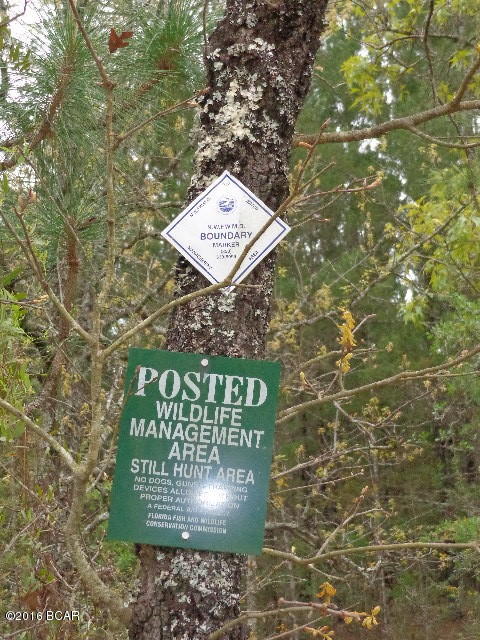 Goshun Creek Acres - Land