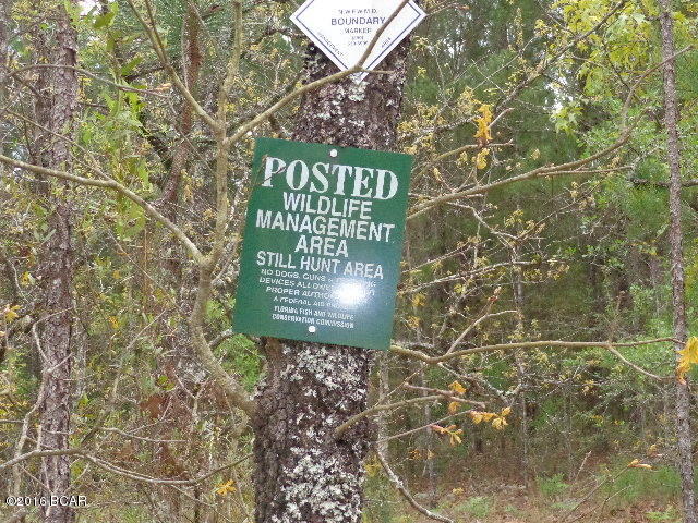 Goshun Creek Acres - Land