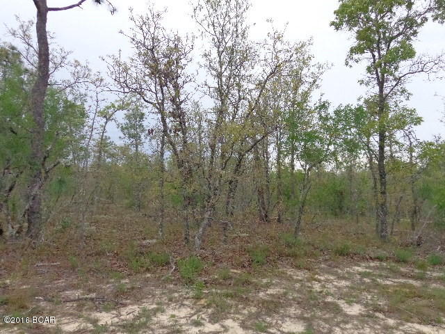 Goshun Creek Acres - Land