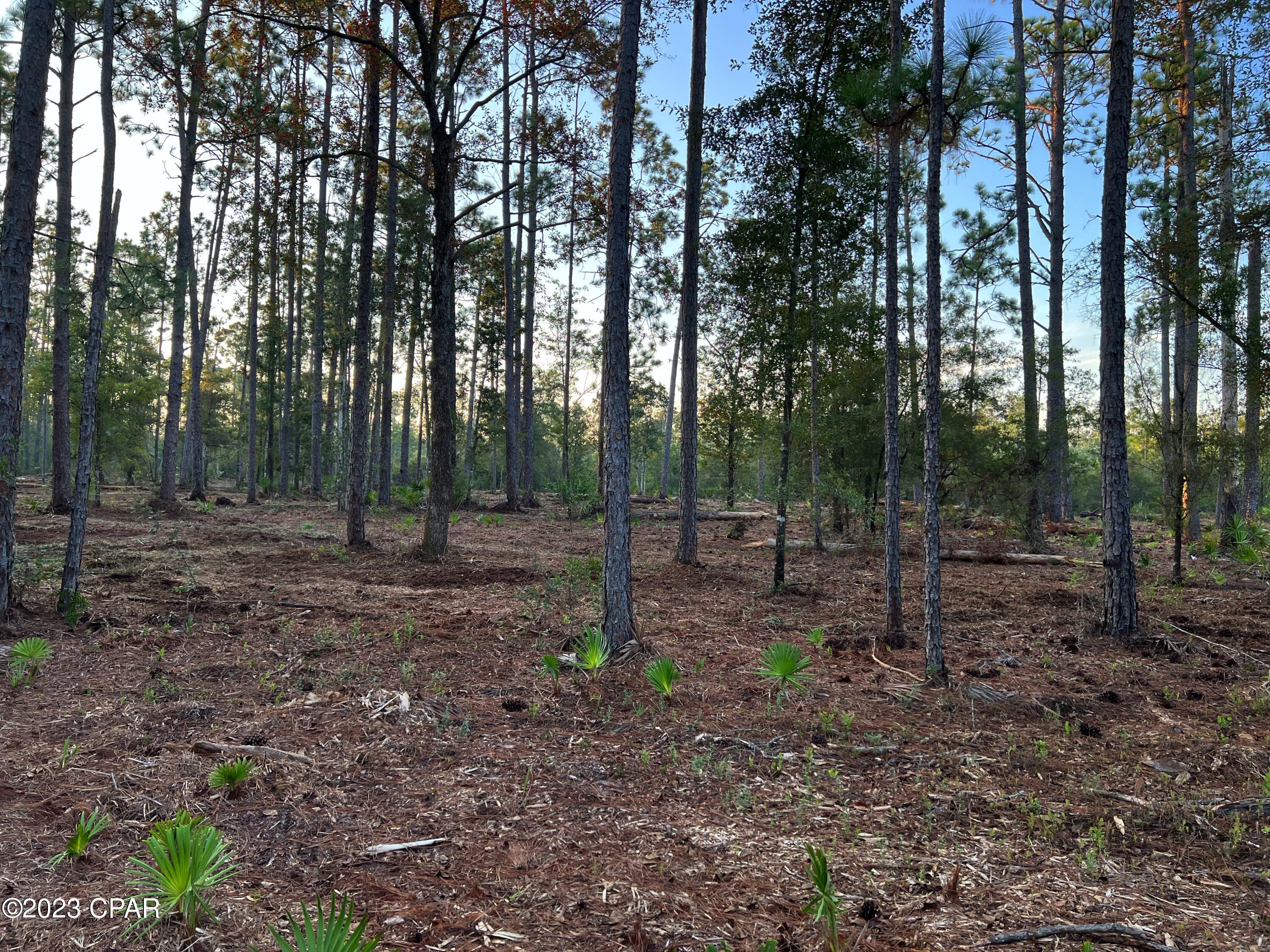 [No Recorded Subdiv] - Land