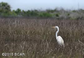 Rivercamps On Crooked Creek - Land