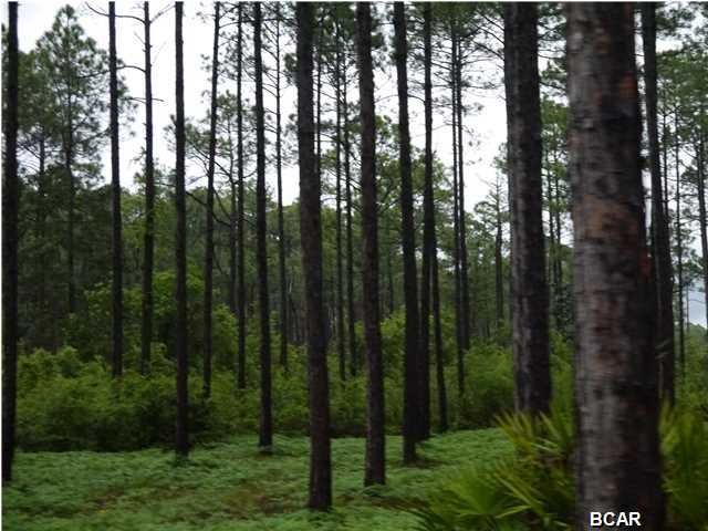 Rivercamps On Crooked Creek - Land
