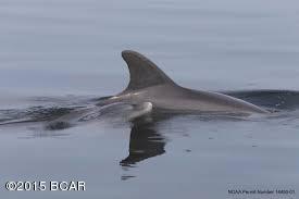 Rivercamps On Crooked Creek - Land