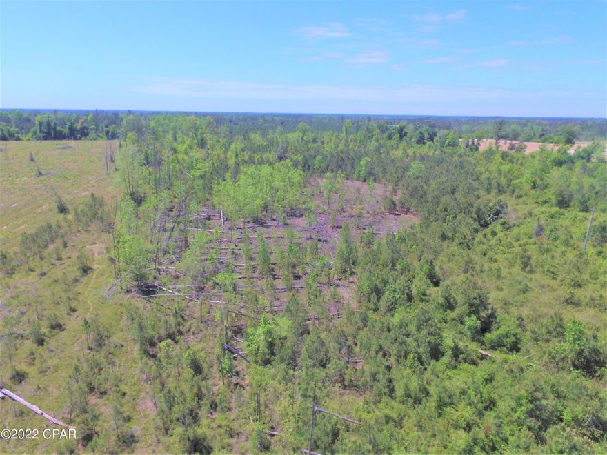 18+ acres of wooded land in Calhoun County conveniently located near SR 71 and not in a flood zone. Clear and build your dream home or use as hunting land!   Currently taxed as agriculture land.
