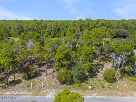 Wild Heron Phase VI - Land