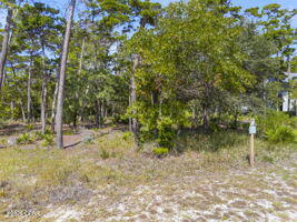 Wild Heron Phase VI - Land