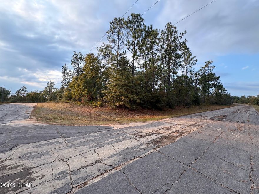 Excellent opportunity to own a .268 acre corner lot in Unit 6 of Sunny Hills, located at Lot 29 on Cavalier Drive. This homesite is situated in a more private section of the community with some established homes nearby, along with plenty of undeveloped parcels all through the neighborhood. The lot offers a straightforward building footprint with level elevations, helping simplify site prep and construction planning. According to US Water Corp. water connection is available for this lot (BUYER TO VERIFY) and power is present at the street! Whether you're a builder, investor, or future homeowner, this parcel presents an excellent opportunity for a beautiful and peaceful building site in Sunny Hills. Even better, it adjoins the lot next door at LOT 6 Hernando Circle that is also available from the same seller at the same price, providing a rare opportunity to secure side by side lots for added space, flexibility, or future development options. Sunny Hills continues to attract buyers due to its convenient access to Highway 77, with Chipley to the north and Panama City and the Gulf Coast beaches to the south. If you're looking for a competitively priced investment in a booming Northwest Florida community, this lot deserves your attention.