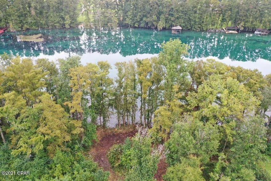 WATERFTONT LOT on the beautiful MERRITTS MILL POND!! This 100' lot enjoys a great water view and has plenty of flat land by the water to potentially build your dream home.   This water way is started by a first magnitude spring called Blue Springs or better known in cave diving circles as Jackson Blue.  65 Millions gallons a day flow through that spring as well as many additional springs scattered throughout the waterway.   Enjoy the best fishing, boating, swimming and kayaking around.   Call today for your appointment.