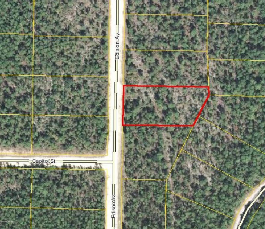 This lot would be a wonderful place to build your dream home!  Also, owning this lot would provide you access to a lodge with dining, tennis, swimming, boat rentals, cabins to rent, camping, hiking trails, fishing, water skiing, and more.  No mobile homes. $135 POA dues paid annually and included in your property taxes.