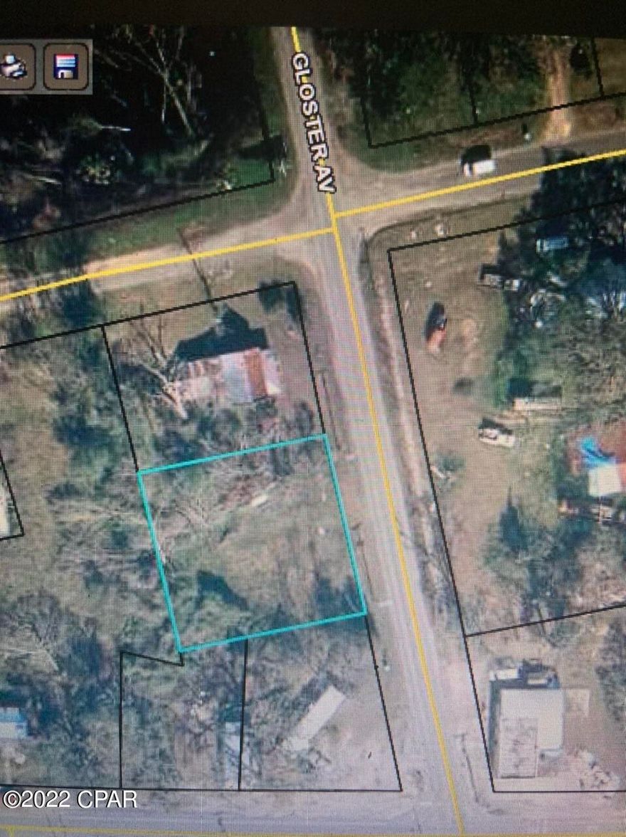 Very nice lot in town. City sewer and water available. High traffic area on hwy that leads to interstate 10. Lot is flat, high and dry. Minutes from Lake Seminole and the Appalachicola River.  Paved hwy frontage.