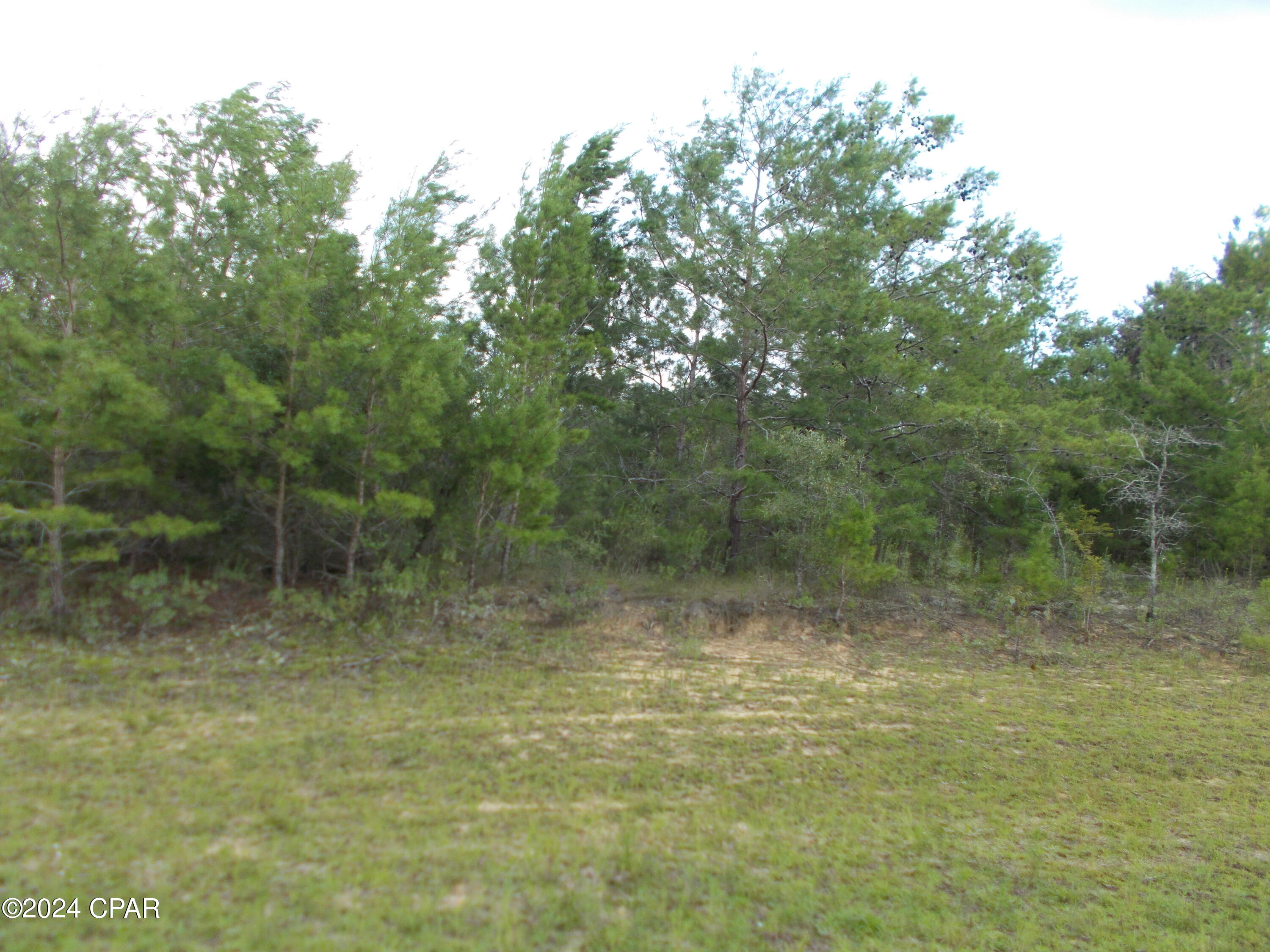 Sunny Hills Unit 19 - Land