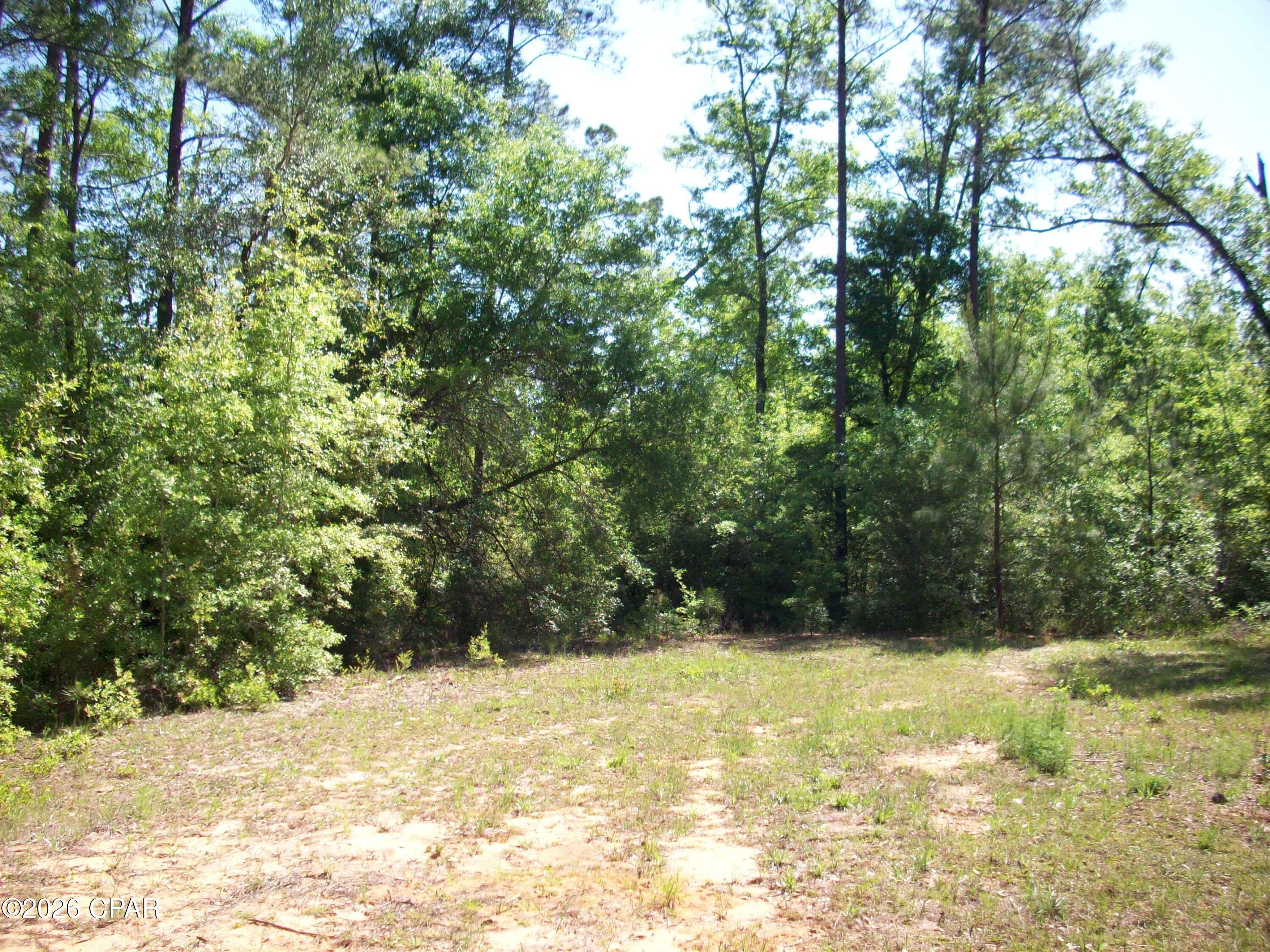 Compass Lake Hills Unit 5 - Land