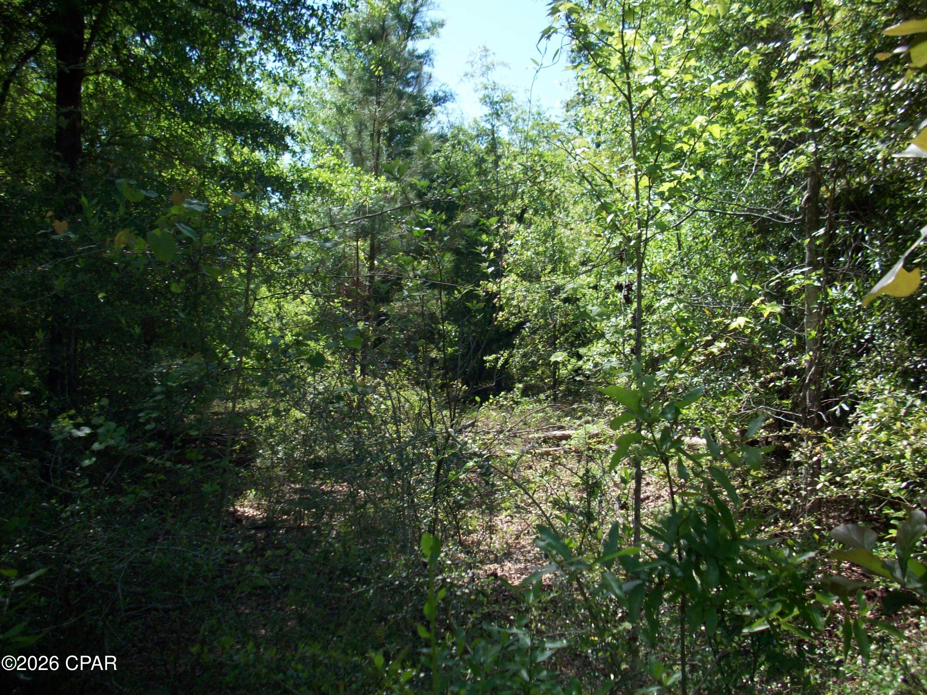 Compass Lake Hills Unit 5 - Land