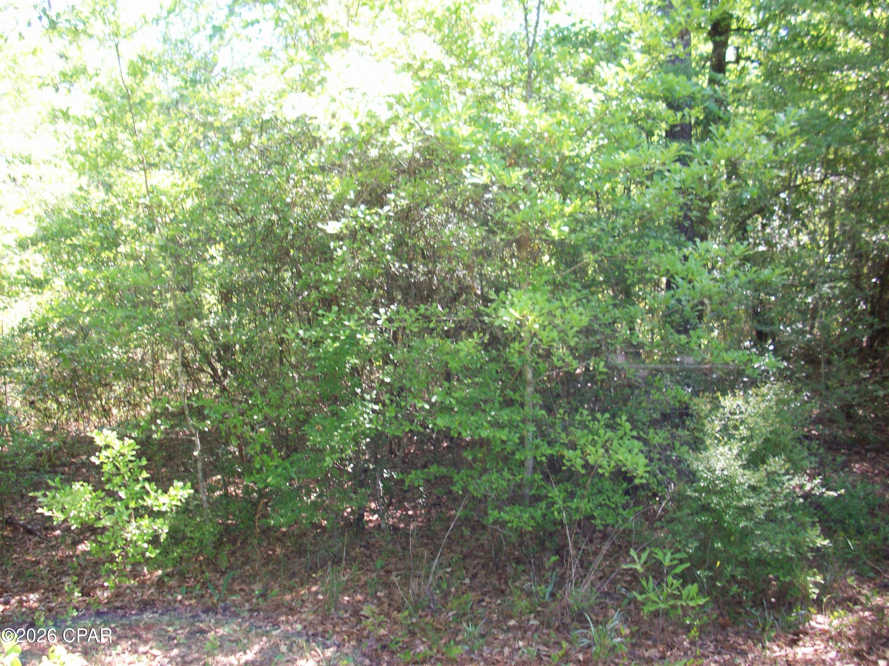 Compass Lake Hills Unit 5 - Land