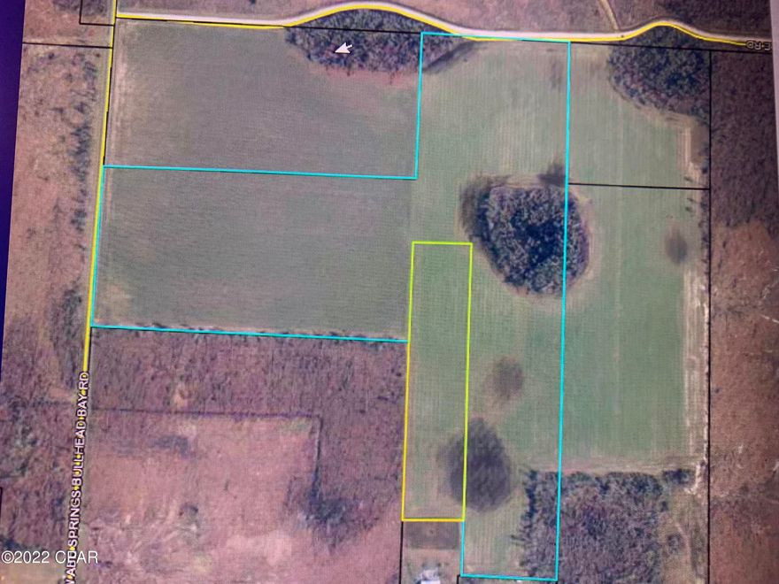 Great farm land in a great location! This property is currently being farmed and has frontage on Abe Springs road and Northwest Pole road. The property has a couple of concentrations of trees for game. Conveniently located close to Blountstown and a short drive from Panama City.  It's hard to find a combination like this anymore, don't miss out.  Includes parcel #'s 21-1S-09-0000-0004-0000 and 	21-1S-09-0000-0004-0200.