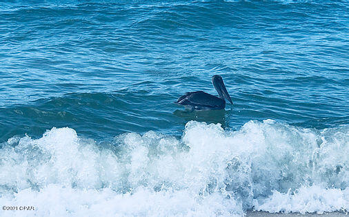 Lagoon Manor - Residential
