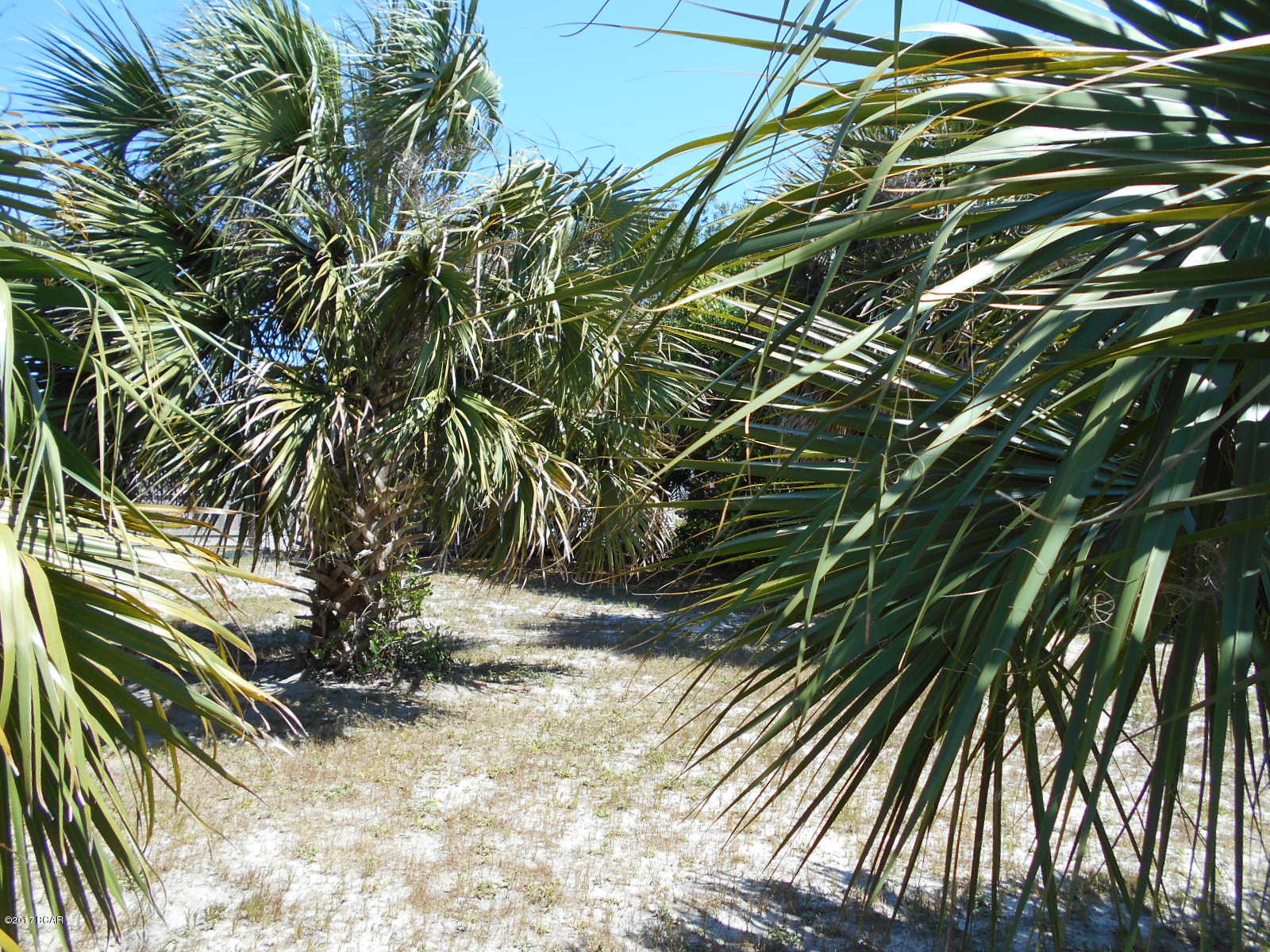 Bid-A-Wee - Residential