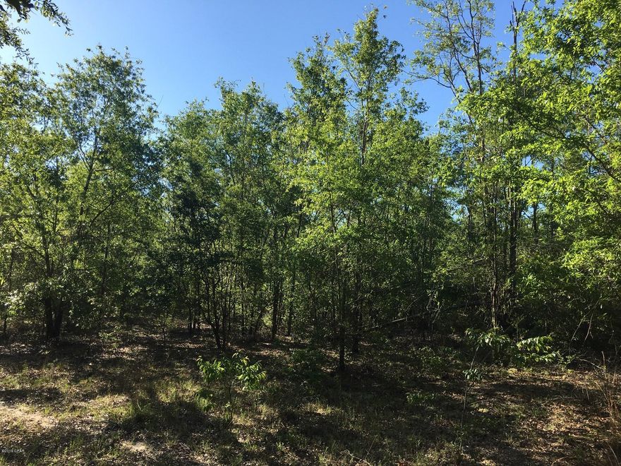 Located in the rural community of Bascom Florida and in Whippoorwill Subdivision is this wooded 3.3 more or less acres that welcomes mobile homes or new construction. Property is located at the end of the private lane and very secluded Restrictions attached