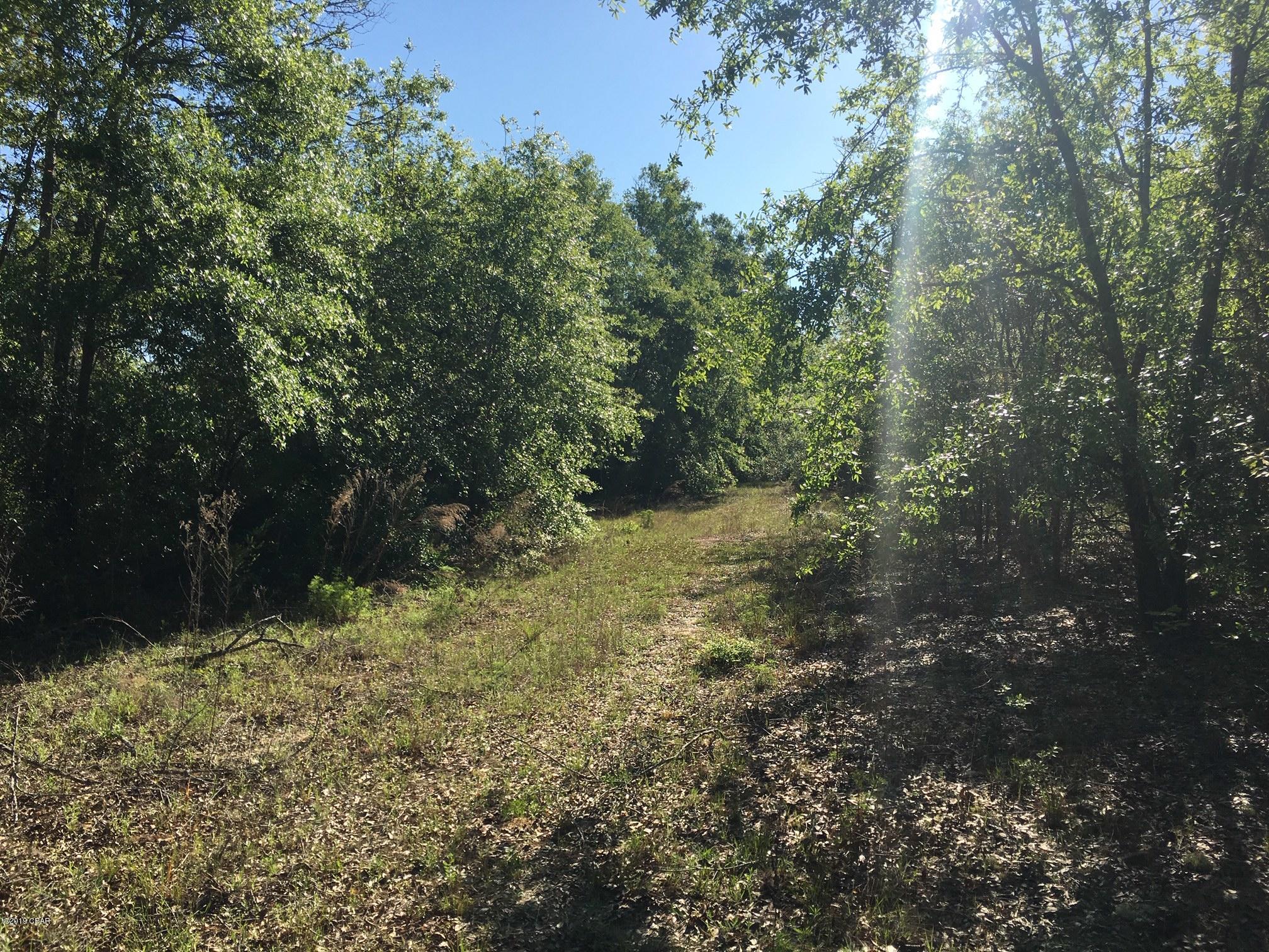 Whippoorwills - Land