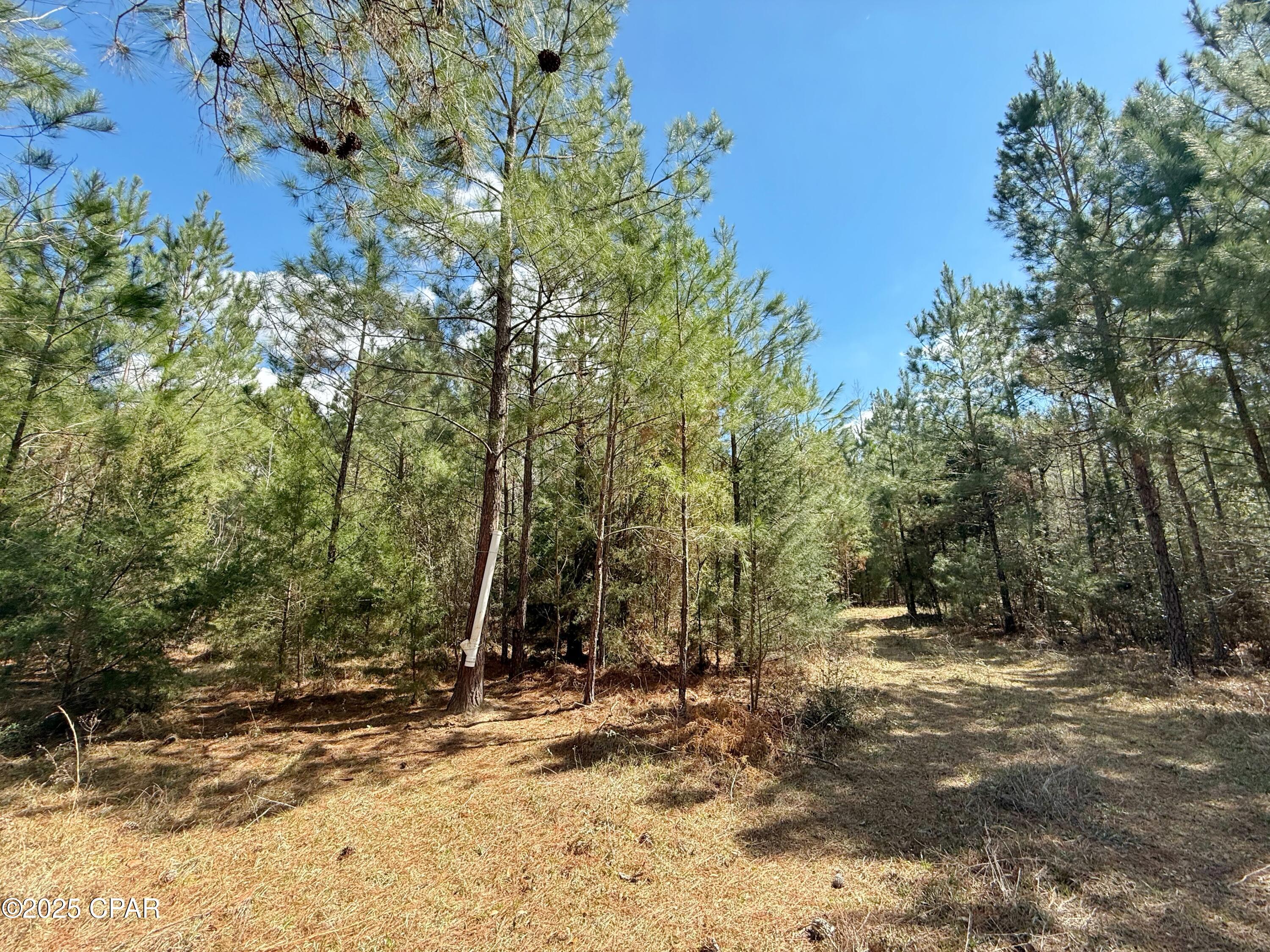 [No Recorded Subdiv] - Land