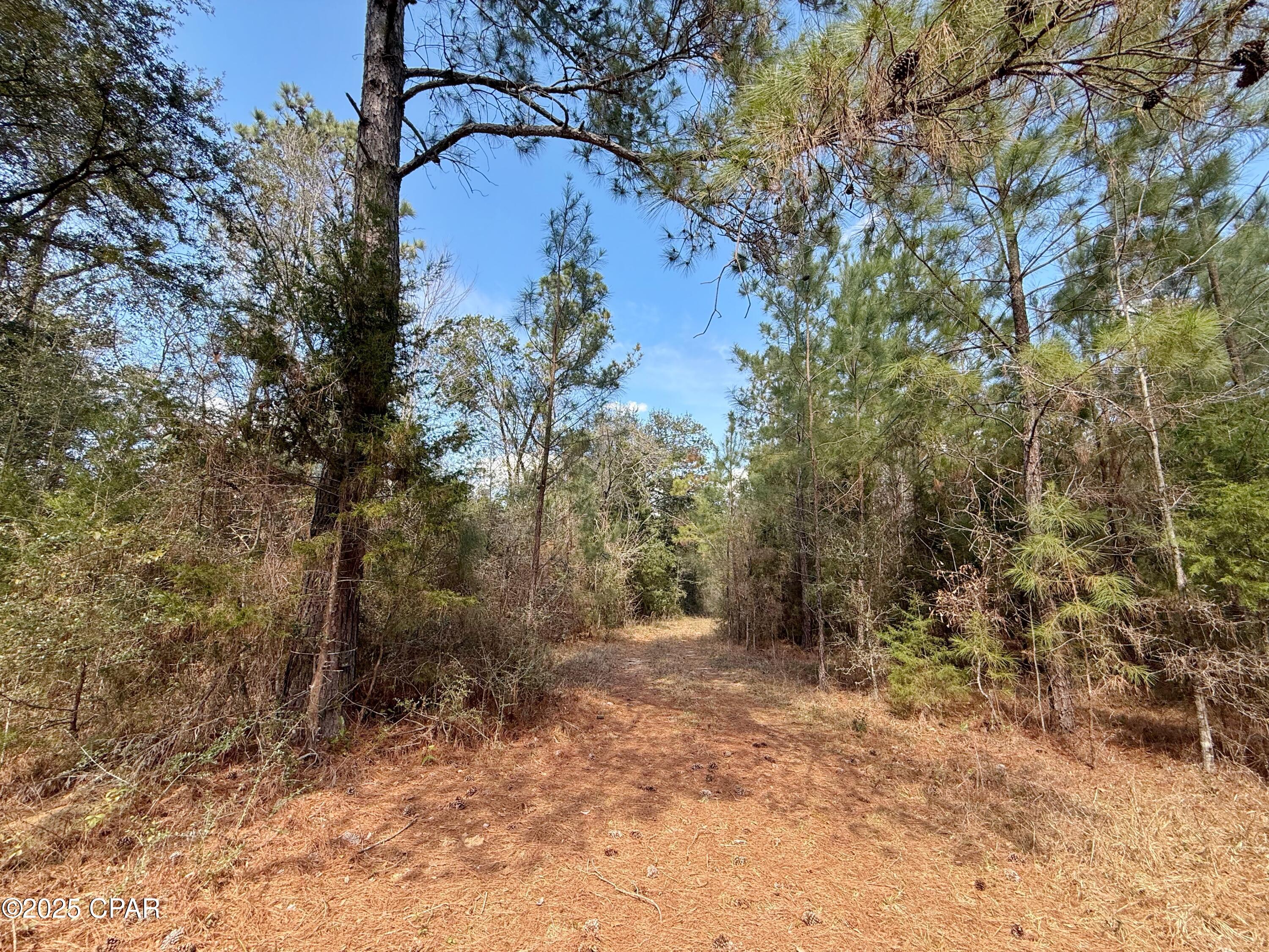 [No Recorded Subdiv] - Land