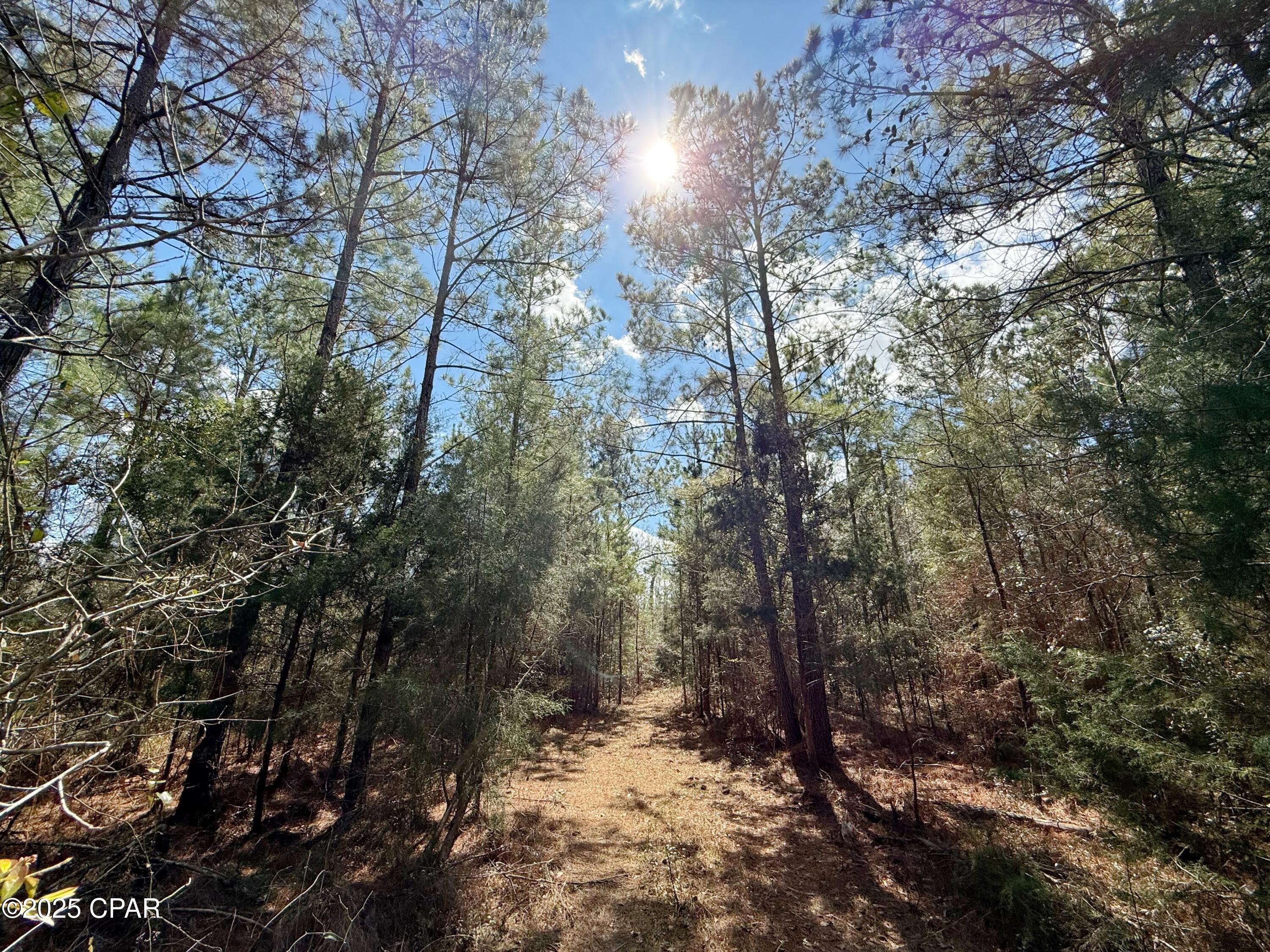 [No Recorded Subdiv] - Land