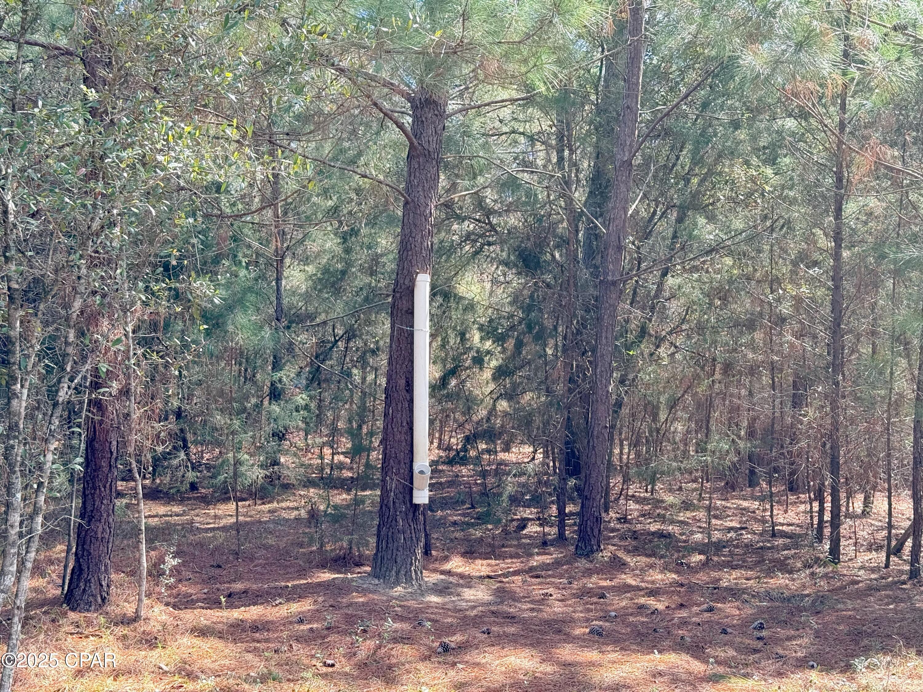 [No Recorded Subdiv] - Land