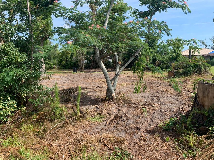 Vacant lot. Centrally located in Panama City. Zone MU-2 (mixed use). Commercial and residential permissible. Buy 2101 E 8th St and build a duplex. Current survey. Great investment property for building a spec home or for your dream home!