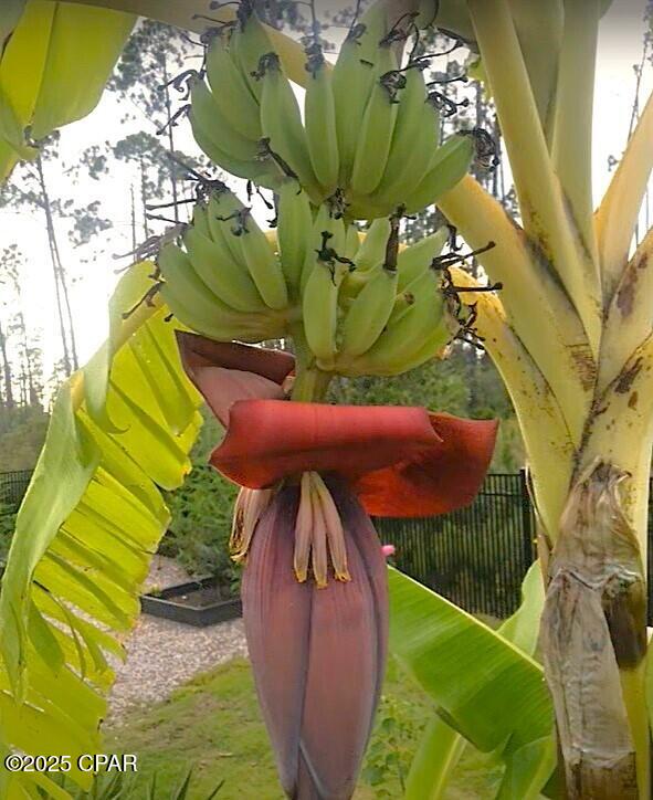 Laird Point Ph I - Land